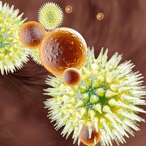 My Top 5 Immunity Enhancing Supplements 1