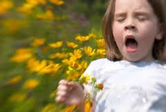 Seasonal Allergy 2