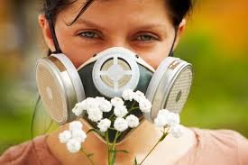 Seasonal Allergy 3